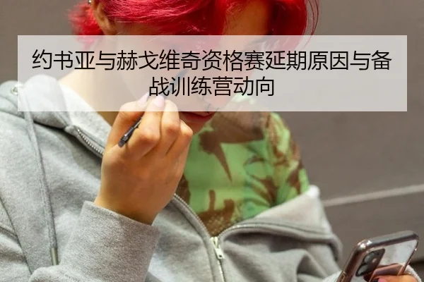 约书亚与赫戈维奇资格赛延期原因与备战训练营动向
